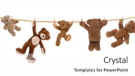  Presentation with brown bear - Presentation design with hanging group of teddy bears background and a white colored foreground