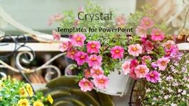  Presentation with flower - Colorful theme enhanced with hanging-hybrid-pentunias-flower backdrop and a mint green colored foreground