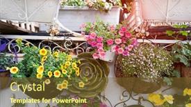  Presentation with flower - Audience pleasing slides consisting of hanging-hybrid-pentunias-flower backdrop and a tawny brown colored foreground