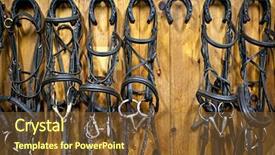  Presentation with bits - PPT theme having hanging on wall of stable background and a tawny brown colored foreground