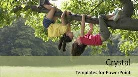  Presentation with branch - Audience pleasing PPT theme consisting of hanging upside down from tree backdrop and a  colored foreground