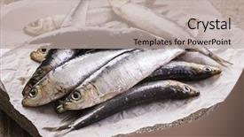  Presentation with sardines - PPT theme featuring hangover food - sardines background and a  colored foreground