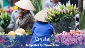  Presentation with vietnam hanoi - PPT layouts featuring hanoi-vietnam-augst-2017-street background and a teal colored foreground