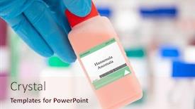  Presentation with alcoholic beverage - Presentation design enhanced with hansenula-anomala-fungus-used background and a lemonade colored foreground