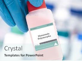 Hansenula Draw Hansenula Polymorpha Fungus Used PPT template 23 | CrystalGraphics