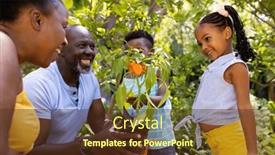  Presentation with organic farming - PPT theme having happy-african-american-grandparents-gardening background and a  colored foreground