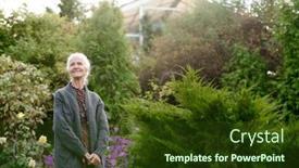  Presentation with summer trees - Presentation theme enhanced with happy-aged-woman-in-casualwear background and a  colored foreground