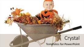  Presentation with fall foliage - Audience pleasing presentation theme consisting of happy baby boy pumpkin happily sitting among fall foliage in a rustic wheelbarrow on a white background backdrop and a coral colored foreground