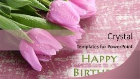  Presentation with tulips - Slide set consisting of happy birthday mom - beautiful bouquet of purple tulips background and a coral colored foreground