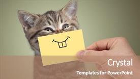  Presentation with cardboard - PPT layouts enhanced with happy cat with funny smile background and a coral colored foreground