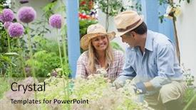 Presentation with home gardening - Slides enhanced with happy couple doing the gardening background and a mint green colored foreground