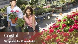  Presentation with botanical garden - Amazing PPT theme having happy couple selecting flower plants at botanical garden backdrop and a red colored foreground