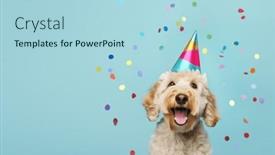  Presentation with cute birthday - Presentation theme with happy-cute-labradoodle-dog-wearing background and a light blue colored foreground