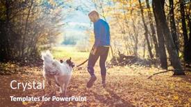  Presentation with dog park dogs plays - Colorful presentation enhanced with happy-dog-and-man-playing backdrop and a coral colored foreground