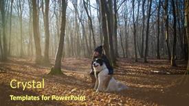  Presentation with foggy forest - Presentation theme consisting of happy-dog-and-owner background and a tawny brown colored foreground