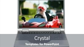  Presentation with computer-love - Slides featuring happy-dog-in-car-bichon background and a gray colored foreground
