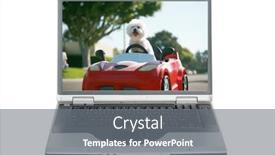  Presentation with computer-love - Slide set enhanced with happy-dog-in-car-bichon and a gray colored foreground