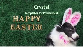  Presentation with magic wand dog - PPT theme with happy dog with bunny ears background and a tawny brown colored foreground