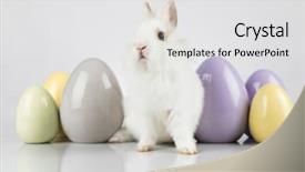  Presentation with happy baby - Slide deck featuring happy easter baby bunny rabbit background and a light gray colored foreground