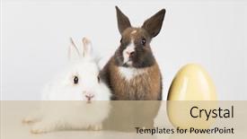  Presentation with happy baby - Audience pleasing presentation theme consisting of happy easter baby bunny rabbit backdrop and a soft green colored foreground