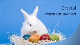  Presentation with happy birthday baby - PPT theme featuring happy easter - baby rabbit and easter eggs background and a light blue colored foreground