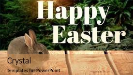  Presentation with plants growing - Presentation featuring happy easter logo against trees and plants growing in forest background and a coral colored foreground