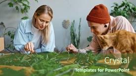  Presentation with family floral - Presentation theme enhanced with happy-family-couple-decorator-working background and a  colored foreground