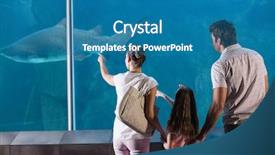  Presentation with shark - Amazing PPT theme having happy family looking at shark at the aquarium backdrop and a teal colored foreground