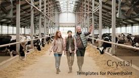  Presentation with livestock - Presentation consisting of happy-family-of-father-mother background and a coral colored foreground
