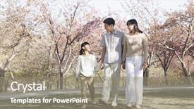  Presentation with springtime - Colorful slide set enhanced with happy family taking a walk amongst cherry trees in park in springtime beijing backdrop and a gray colored foreground