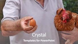  Presentation with hen - PPT layouts enhanced with happy farmer holding a brown hen and egg basket background and a gray colored foreground
