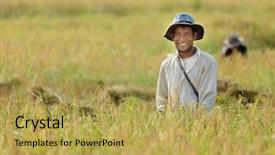  Presentation with leafy rice field - Beautiful slide deck featuring happy farmer in rice field backdrop and a yellow colored foreground