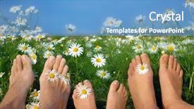 Presentation with grass meadow friendship youth - Beautiful presentation theme featuring happy feet - lazy on meadow backdrop and a teal colored foreground