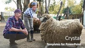  Presentation with female - Presentation theme with happy-female-and-male-farmers background and a tawny brown colored foreground