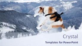  Presentation with snowball - Beautiful slide deck featuring happy fox terrier playing in snow in the mountains trying to catch a snowball - winter fun with pet backdrop and a sky blue colored foreground