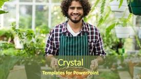  Presentation with pile of fresh cassava - Audience pleasing slides consisting of happy gardener carrying fresh tomato backdrop and a tawny brown colored foreground