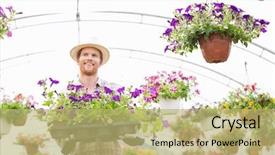  Presentation with flower pots - PPT theme with happy gardener holding flower pots in crate at greenhouse background and a yellow colored foreground