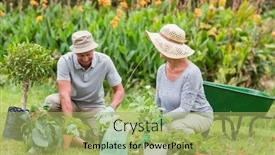  Presentation with grandfather - Colorful theme enhanced with happy grandmother and grandfather gardening on a sunny day backdrop and a mint green colored foreground