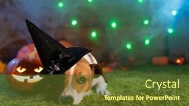  Presentation with skeletons - Theme featuring pumpkins smoke lanterns skeleton background and a tawny brown colored foreground