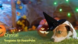  Presentation with skeletons - Beautiful slides featuring happy halloween dog pet jack russell terrier in costume and on the background of pumpkins smoke lanterns skeletons for halloween scary backdrop and a tawny brown colored foreground
