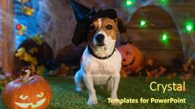  Presentation with skeletons - PPT layouts featuring happy halloween dog pet jack russell terrier in costume and on the background of pumpkins smoke lanterns skeletons for halloween scary background and a tawny brown colored foreground
