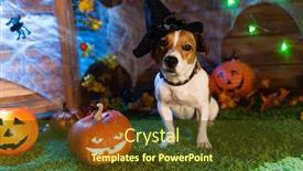  Presentation with skeletons - Slide deck consisting of happy halloween dog pet jack russell terrier in costume and on the background of pumpkins smoke lanterns skeletons for halloween scary background and a tawny brown colored foreground