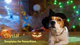  Presentation with skeletons - Slide deck featuring happy halloween dog pet jack russell terrier in costume and on the background of pumpkins smoke lanterns skeletons for halloween scary background and a tawny brown colored foreground