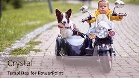  Presentation with dog park - Audience pleasing PPT theme consisting of happy-little-boy-driving backdrop and a light gray colored foreground