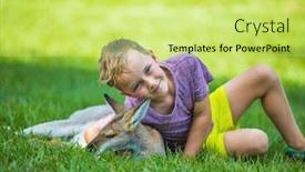  Presentation with kangaroo - Presentation consisting of happy little boy sitting on the ground and cuddling australian kangaroo background and a yellow colored foreground