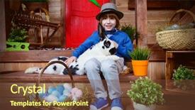  Presentation with happy holiday - PPT theme with happy little boy with bunny background and a tawny brown colored foreground