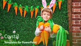  Presentation with carrots - Slides consisting of happy-little-boy-with-bunny background and a forest green colored foreground