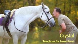  Presentation with white horse - Amazing theme having happy man prepares for kiss of beautiful white horse in autumn sunny park backdrop and a tawny brown colored foreground