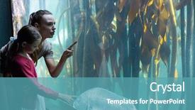  Presentation with tank - Cool new PPT layouts with happy mother and daughter looking at tank at the aquarium backdrop and a teal colored foreground