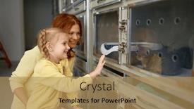  Presentation with animal shelter - PPT theme consisting of happy-mother-with-little-daughter background and a  colored foreground